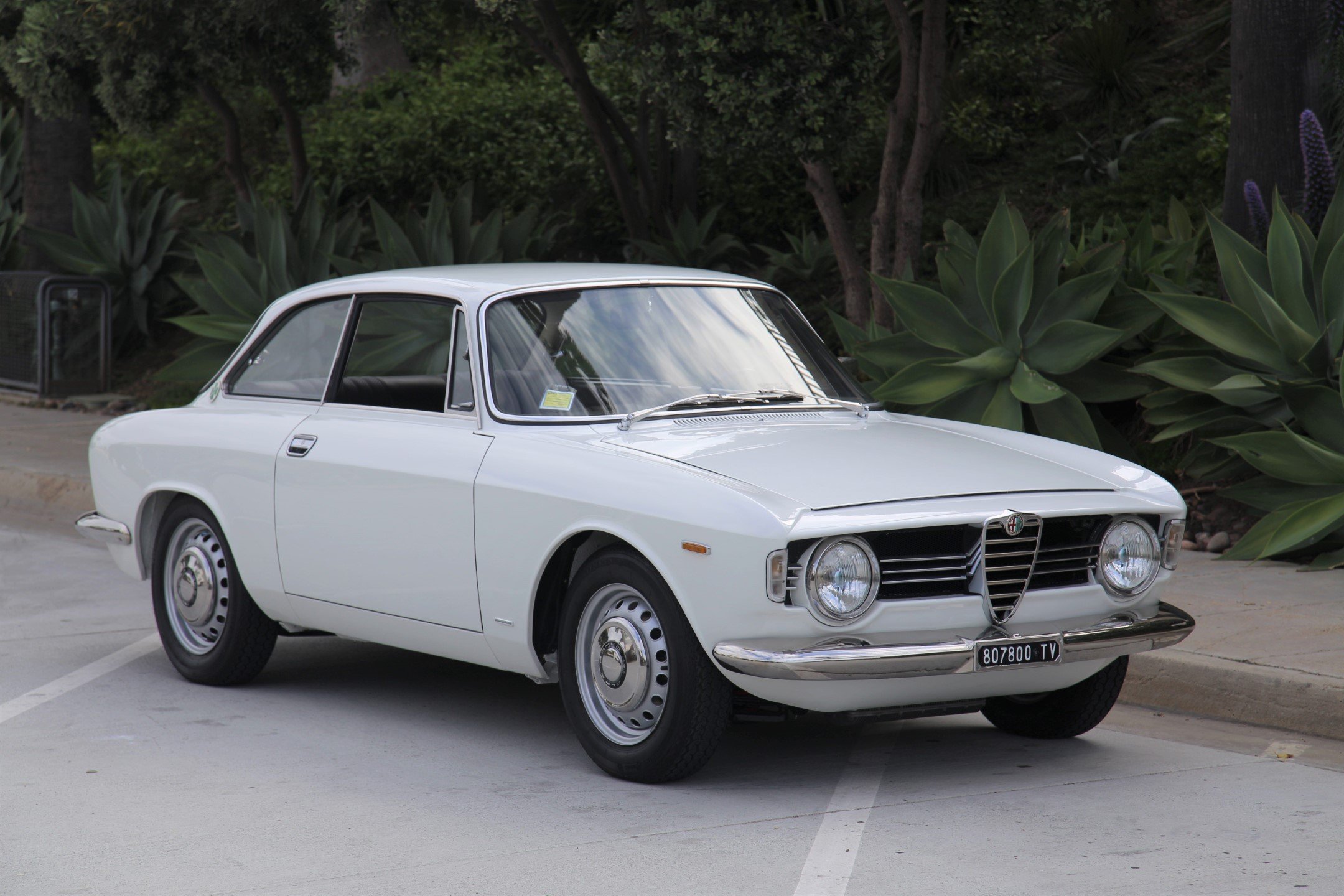 images 1967 Alfa Romeo Gtv