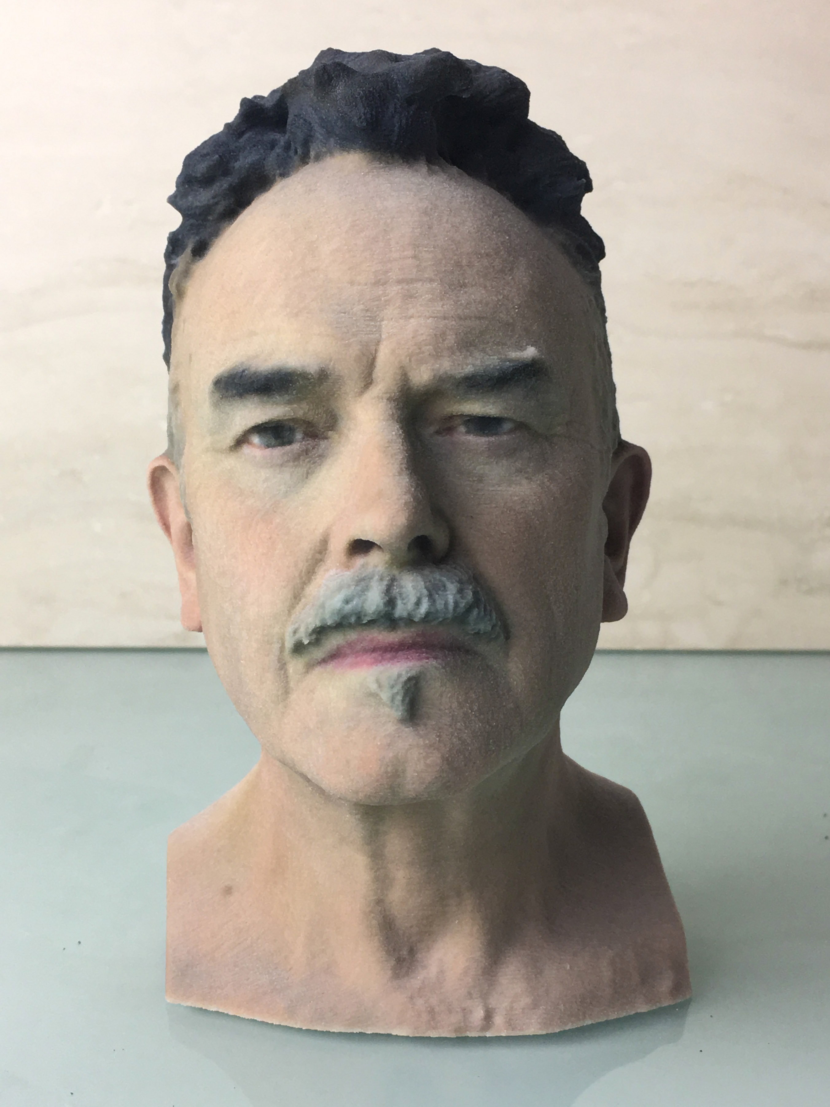 pix 3D Printed Bust Of Yourself