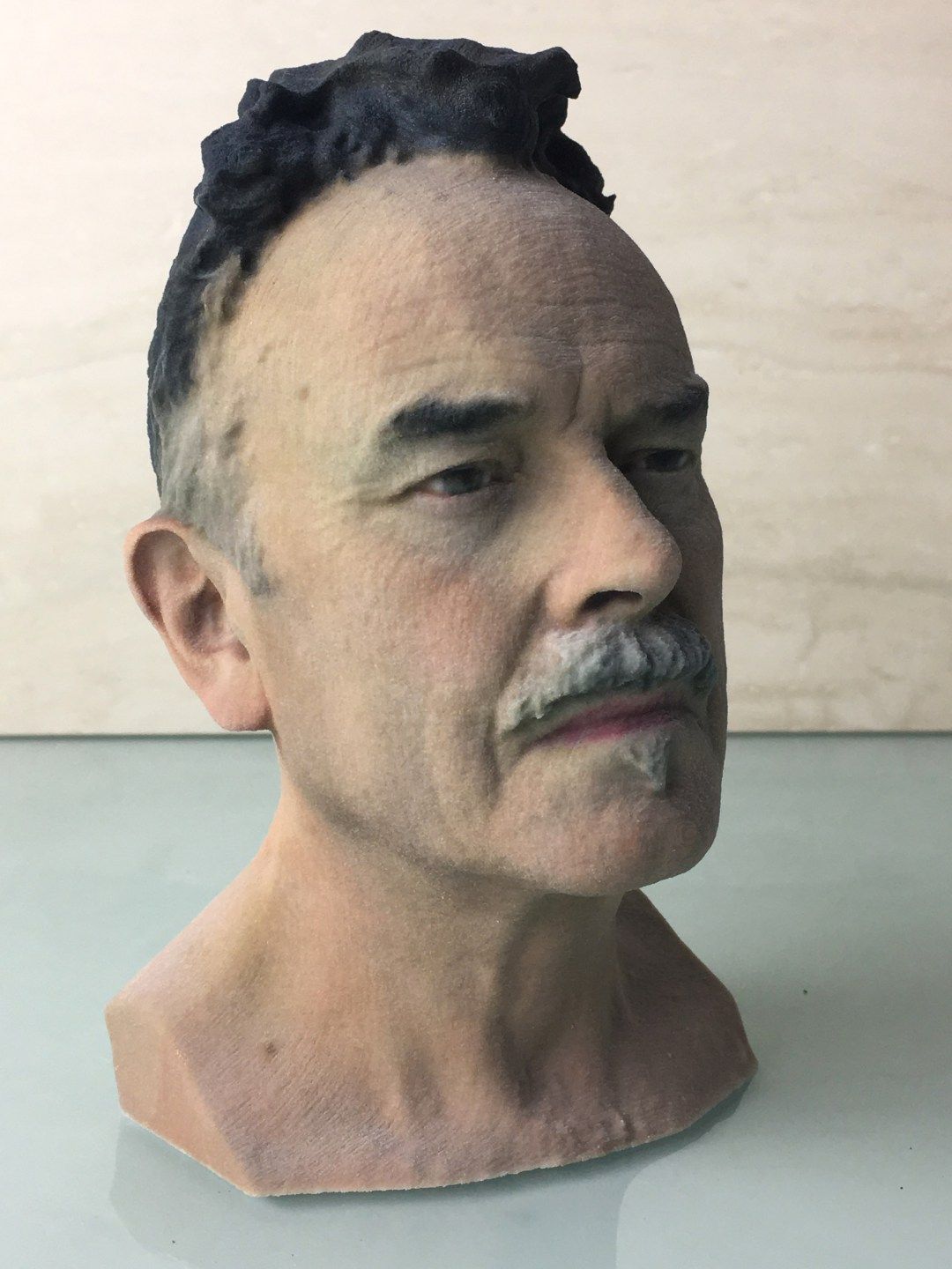 pix 3D Printed Bust Of Yourself