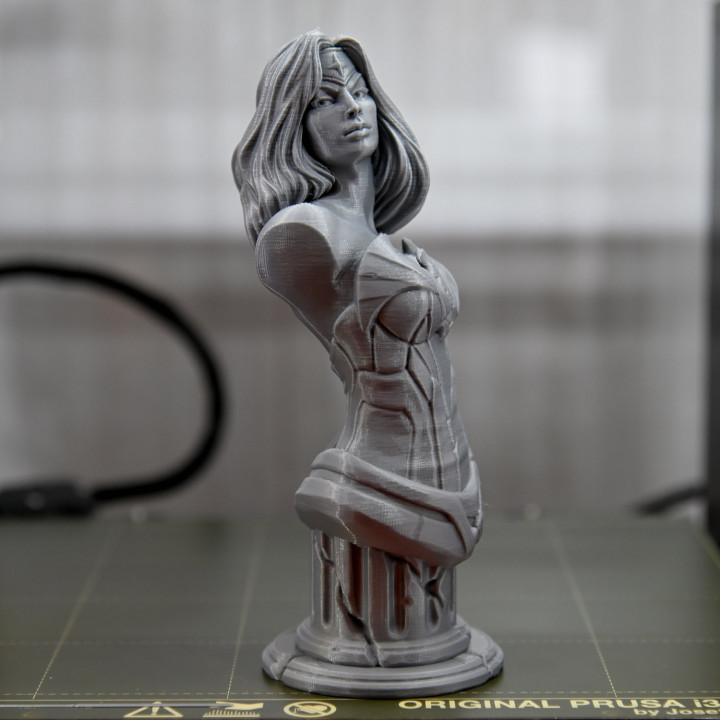 pic 3D Printed Bust Woman