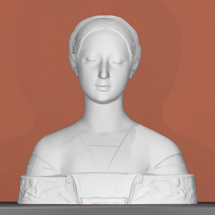 photo 3D Printed Bust Woman