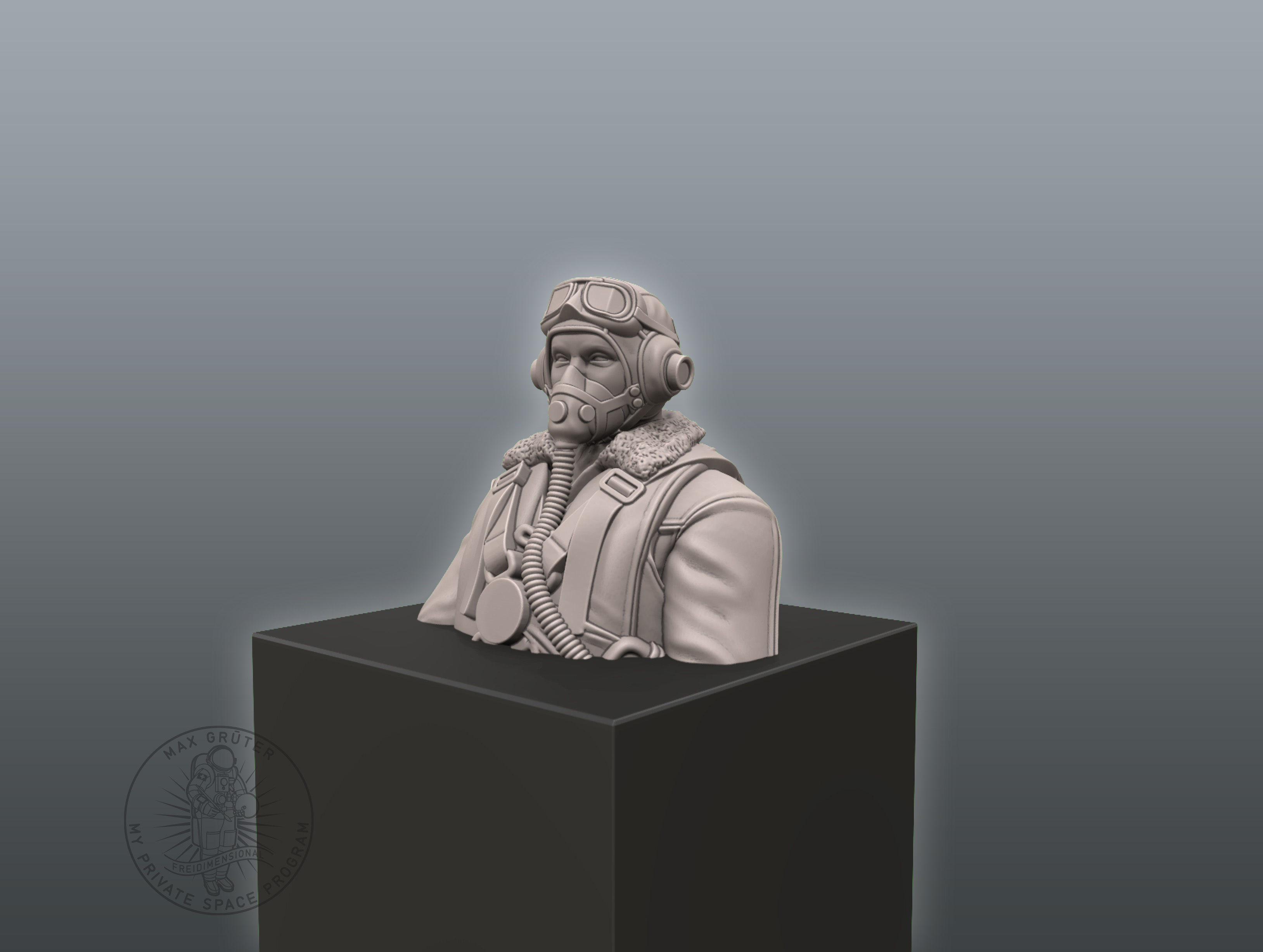 Featured image of post 3D Printed Pilot Bust