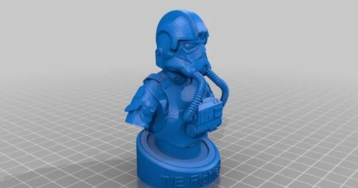 picture 3D Printed Pilot Bust