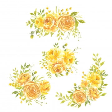 images Beautiful Yellow Rose Png