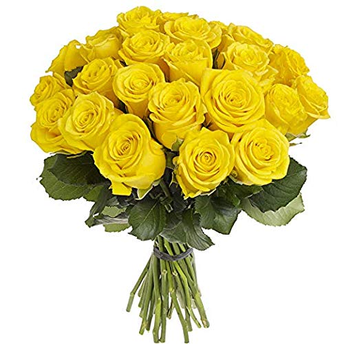 Featured image of post Beautiful Yellow Roses