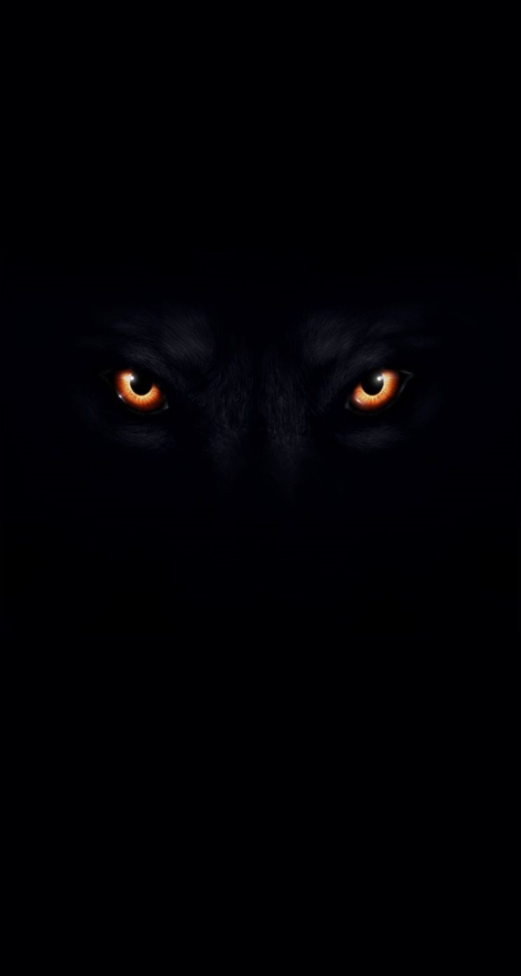 pic Big Black Wolf Wallpaper