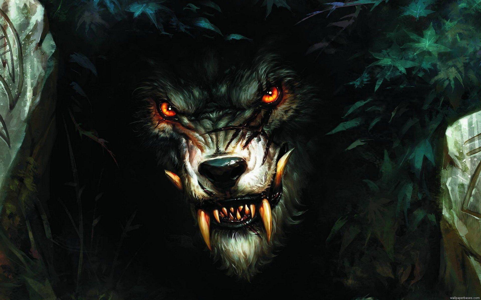 pic Big Scary Wolf Wallpaper