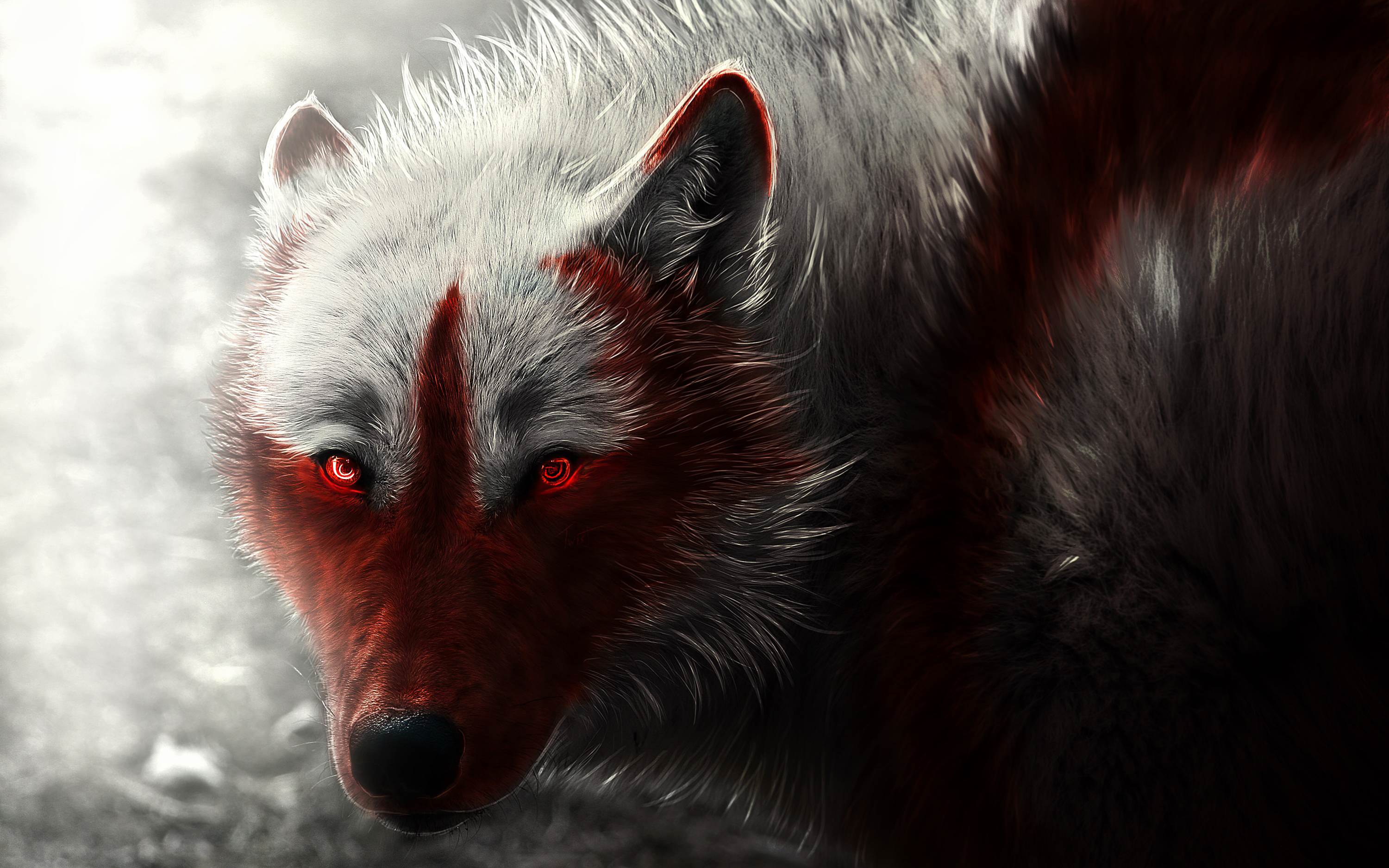 pix Big Scary Wolf Wallpaper