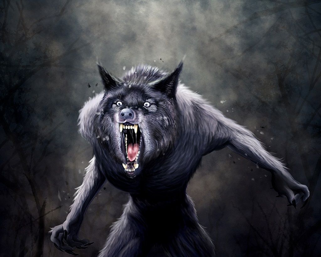 wallpapers Big Scary Wolf Wallpaper