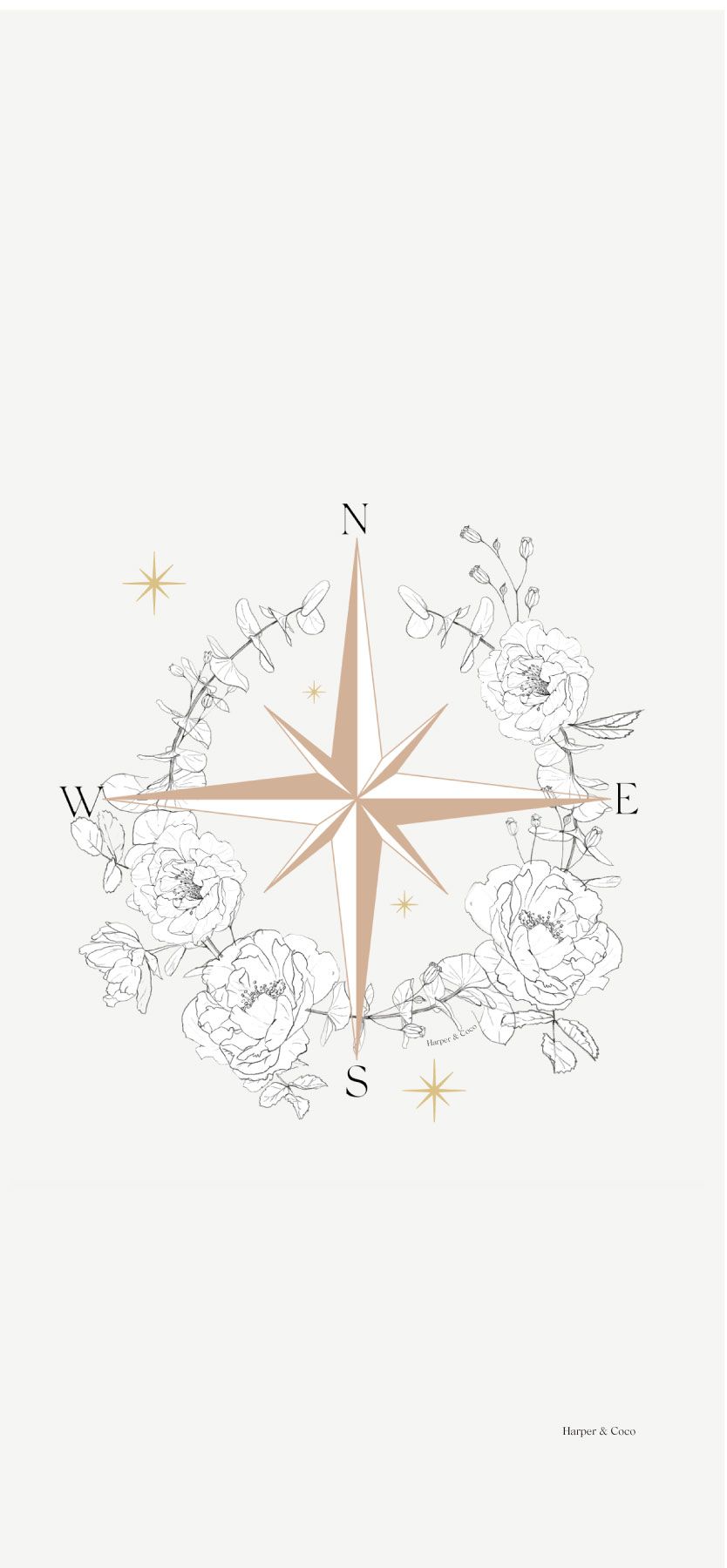 photo Compass Wallpaper Aesthetic