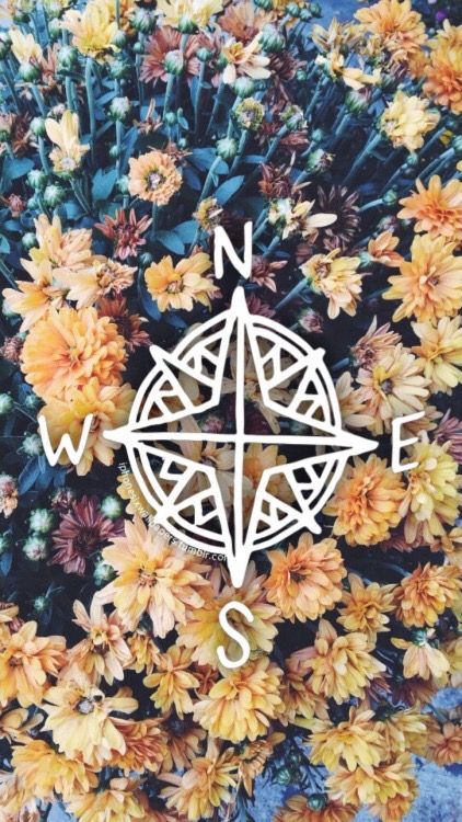 pics Compass Wallpaper Aesthetic