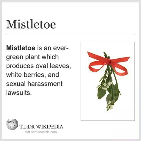 photo Define Mistletoe