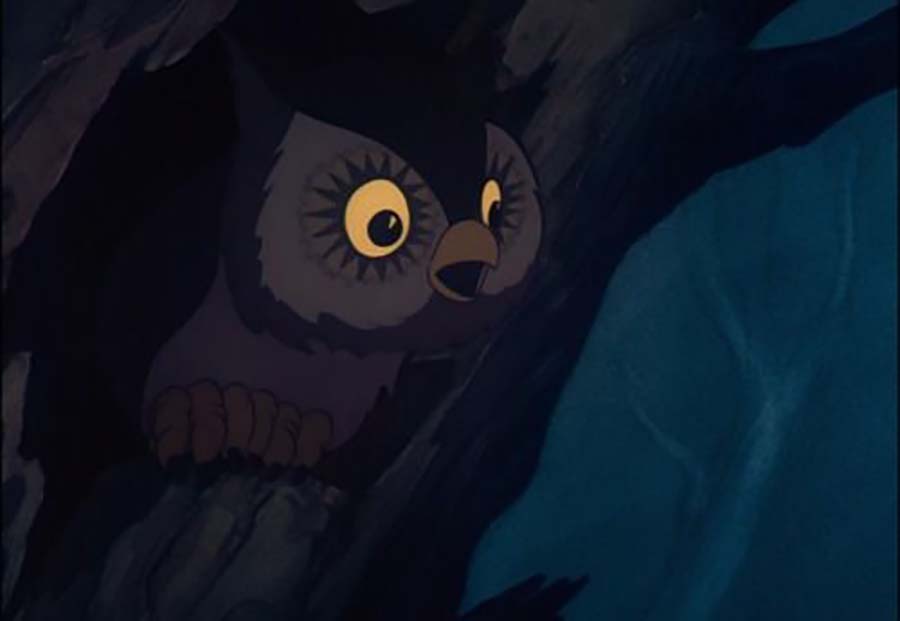 pic Disney Owl Cartoon