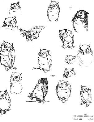 pics Disney Owl Drawing