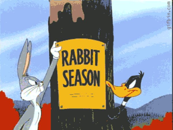 wallpapers Duck Season Rabbit Season Gif Maker