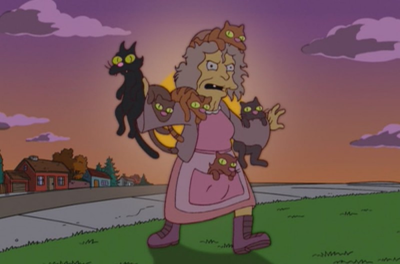 pics Folle Aux Chats Simpson