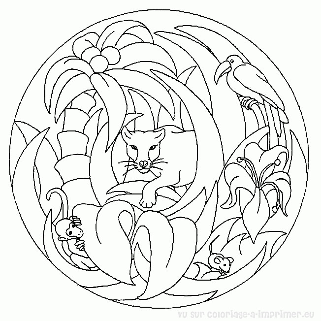 picture Imprimer Mandala Animaux Coloriage Mandala Facile