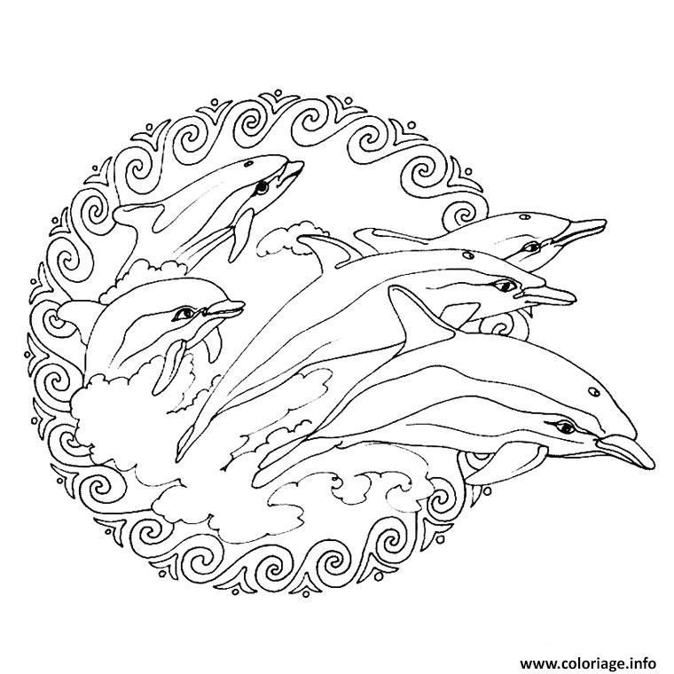 images Imprimer Mandala Animaux Coloriage Mandala Facile