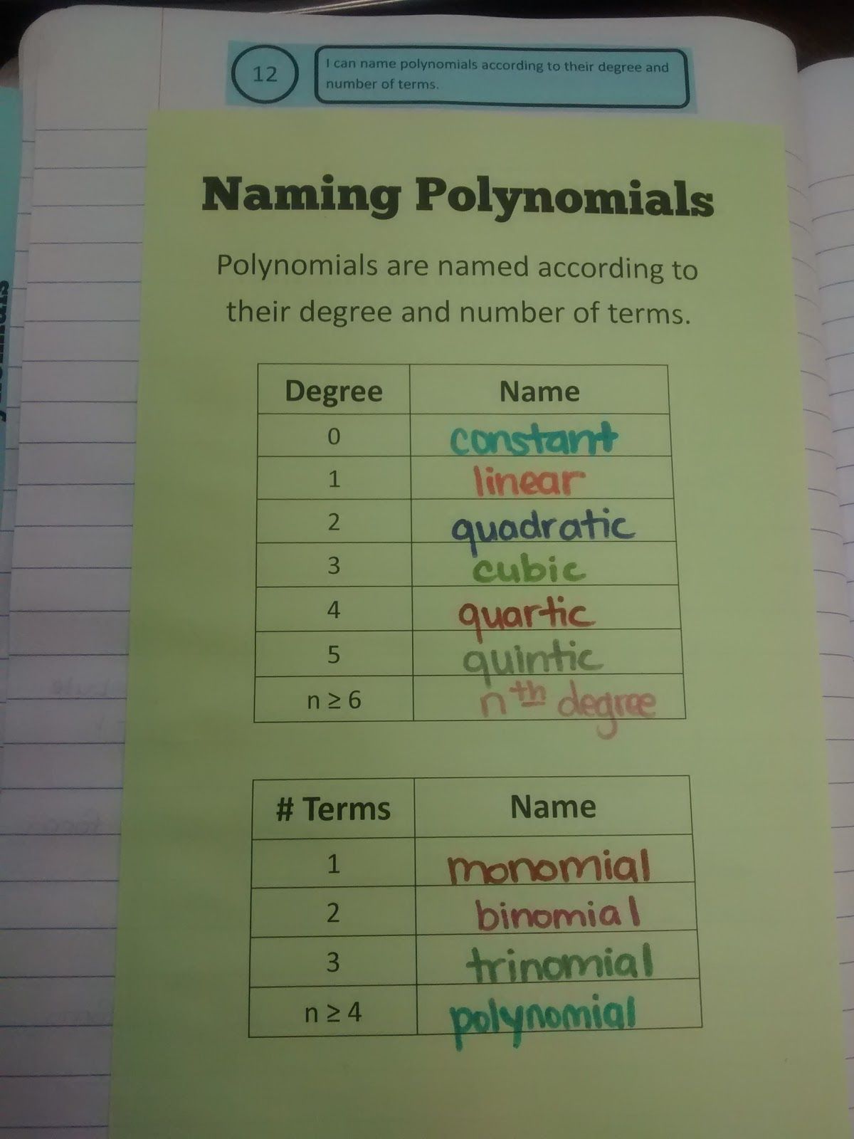 photo Polynomial Vocabulary Chart