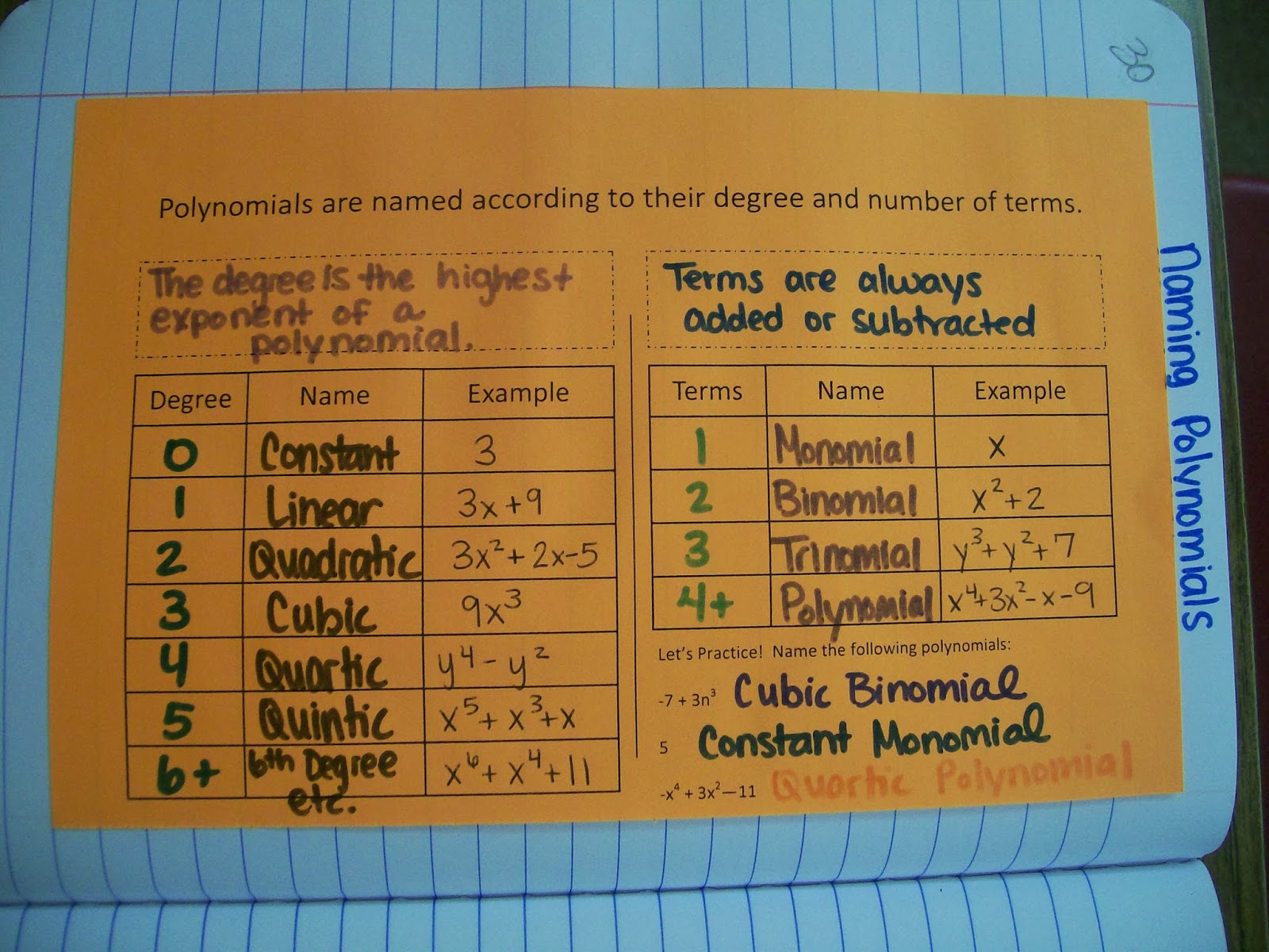 pic Polynomial Vocabulary Chart