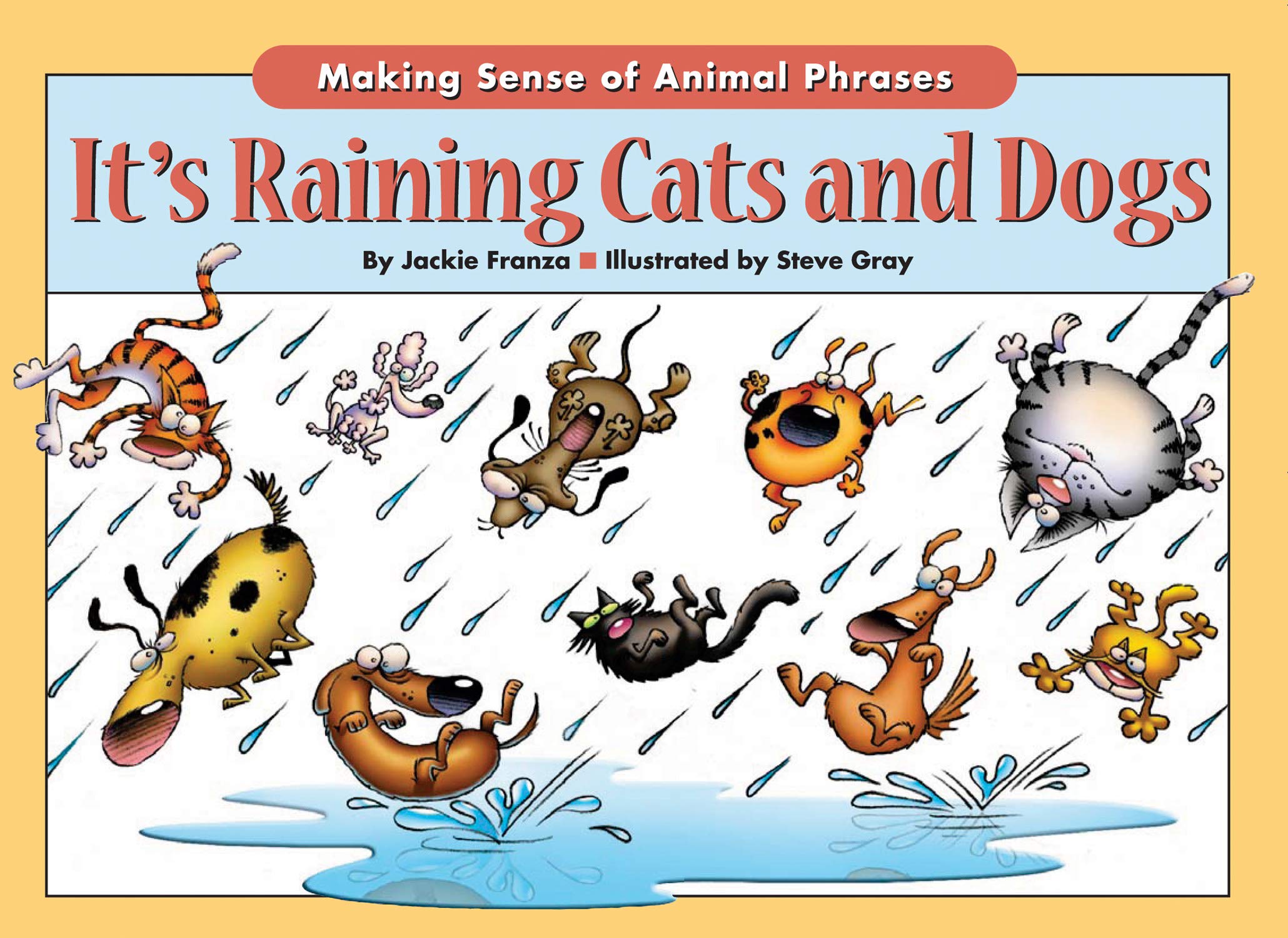 Featured image of post Rainning Cats And Dogs