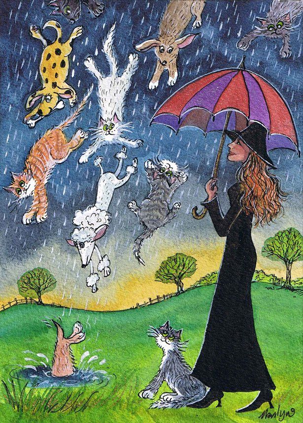 images Rainning Cats And Dogs