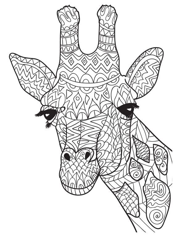 photo Renard Mandala Coloriage Mandala Animaux